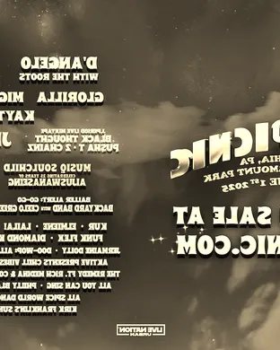 A Roots Picnic Experience