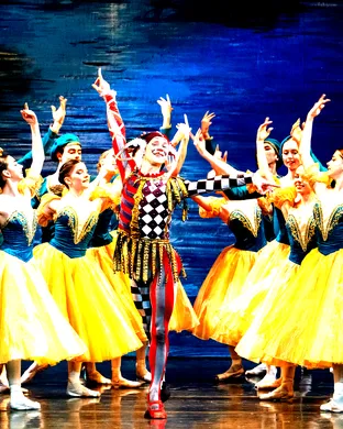 International Ballet Stars: The Sleeping Beauty