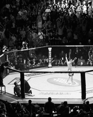 Quest Martial Arts: Black Belt Spectacular