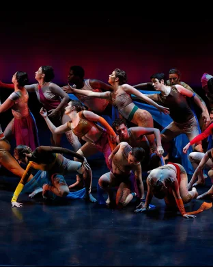 Conference of the Birds