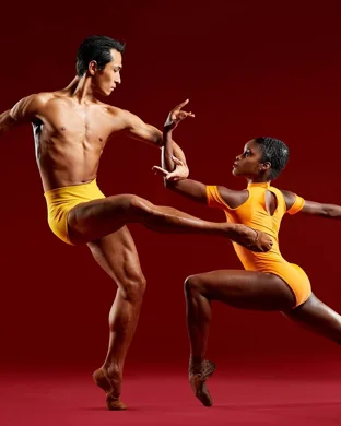Gallim Dance