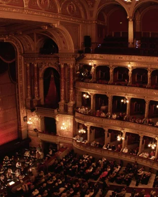 Leopold & The Magic Flute: Opera for Kids!